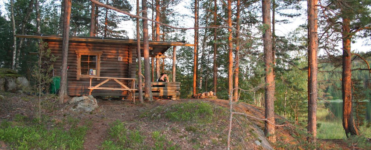 Foto Blockhütte im Wald